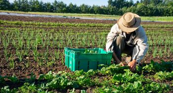 Agricoltori e contributi, più luce sulle attività “sospese”